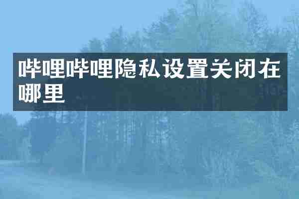 哔哩哔哩隐私设置关闭在哪里