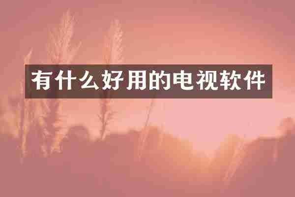 有什么好用的电视软件