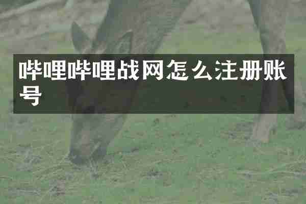 哔哩哔哩战网怎么注册账号