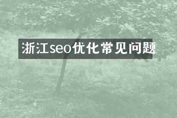 浙江seo优化常见问题