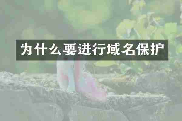 为什么要进行域名保护