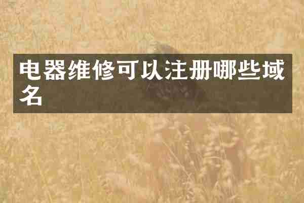 电器维修可以注册哪些域名