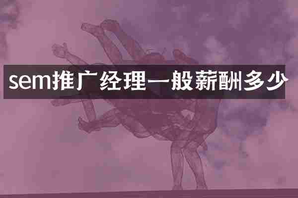 sem推广经理一般薪酬多少