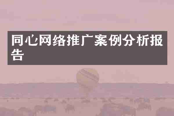 同心网络推广案例分析报告