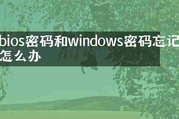 bios密码和windows密码忘记了怎么办