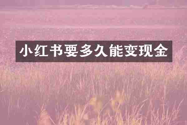 小红书要多久能变现金