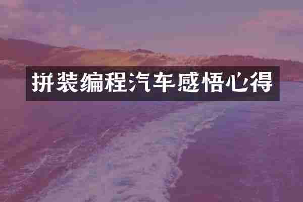 拼装编程汽车感悟心得