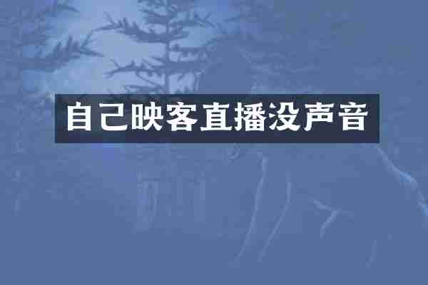 自己映客直播没声音