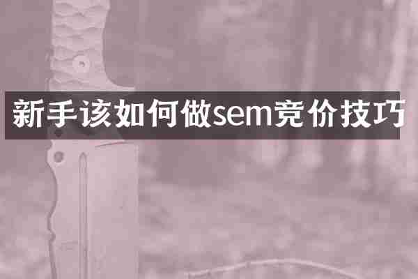 新手该如何做sem竞价技巧