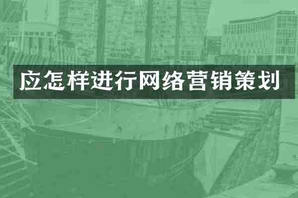 应怎样进行网络营销策划