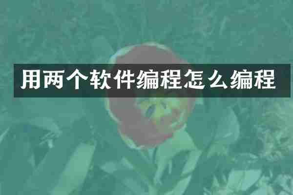 用两个软件编程怎么编程
