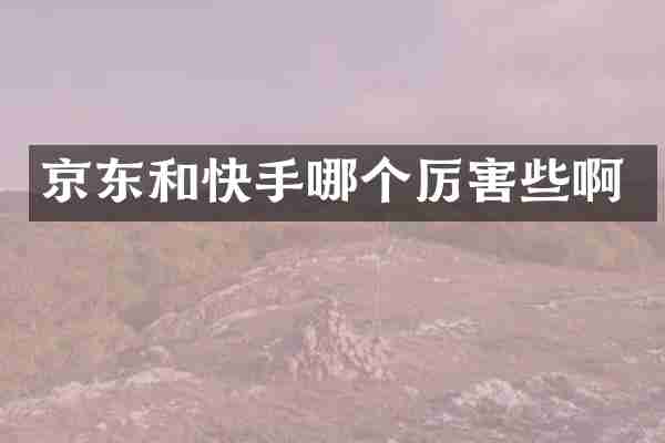 京东和快手哪个厉害些啊