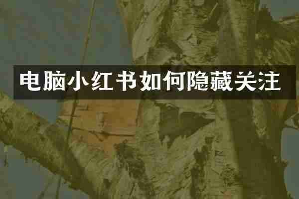 电脑小红书如何隐藏关注