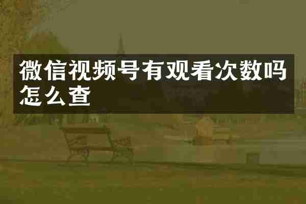 微信视频号有观看次数吗怎么查