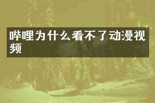 哔哩为什么看不了动漫视频