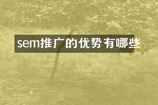 sem推广的优势有哪些