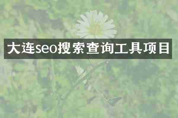 大连seo搜索查询工具项目