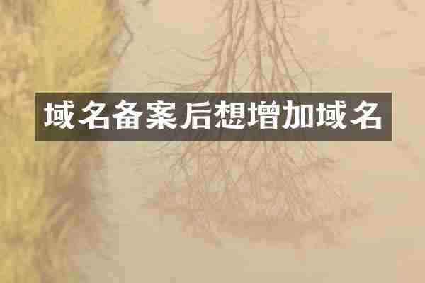 域名备案后想增加域名