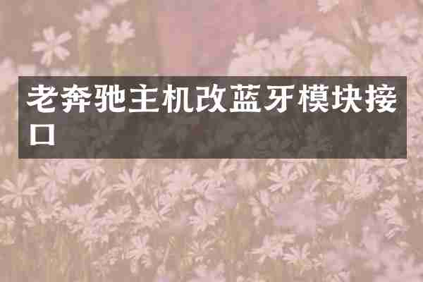 老奔驰主机改蓝牙模块接口