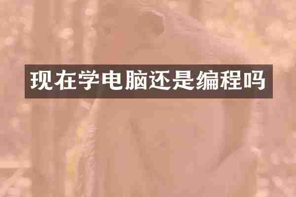 现在学电脑还是编程吗