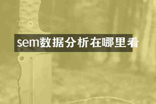 sem数据分析在哪里看