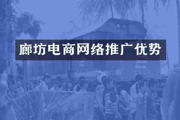 廊坊电商网络推广优势