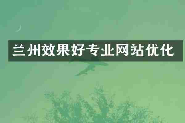 兰州效果好专业网站优化