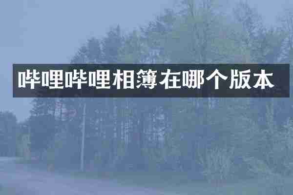 哔哩哔哩相簿在哪个版本