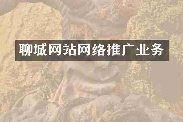 聊城网站网络推广业务