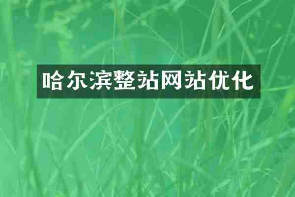哈尔滨整站网站优化