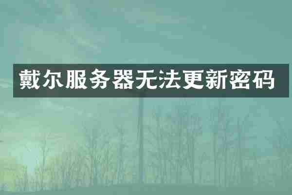 戴尔服务器无法更新密码