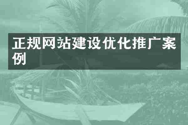 正规网站建设优化推广案例