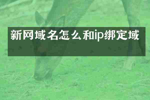 新网域名怎么和ip绑定域名