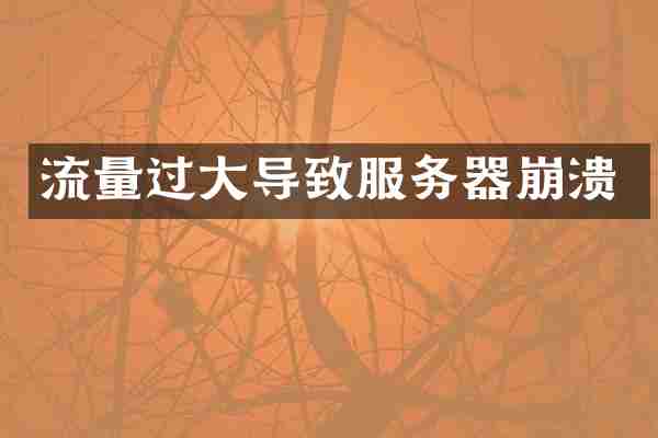 流量过大导致服务器崩溃