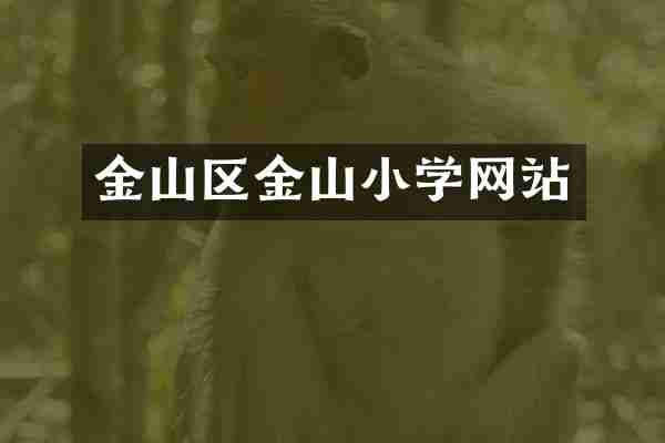 金山区金山小学网站