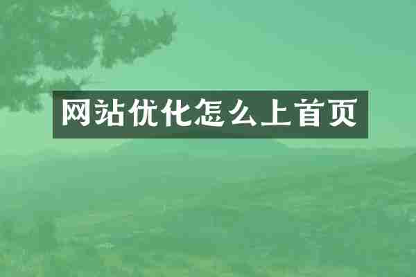 网站优化怎么上首页