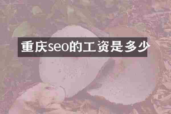 重庆seo的工资是多少