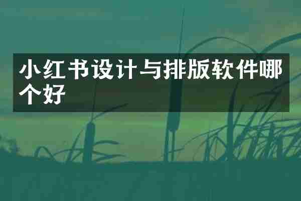 小红书设计与排版软件哪个好