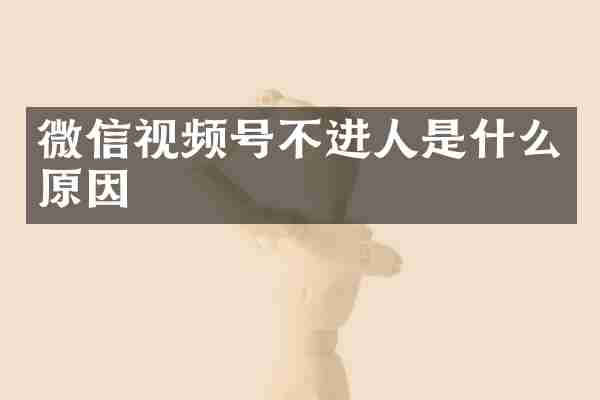 微信视频号不进人是什么原因