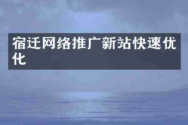 宿迁网络推广新站快速优化