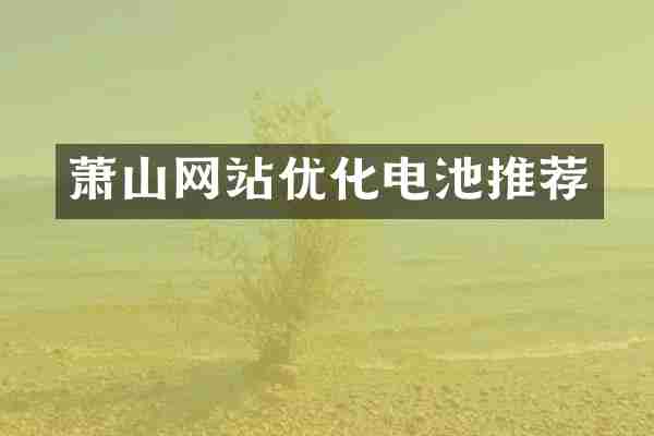 萧山网站优化电池推荐