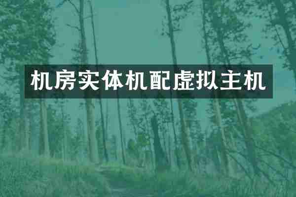 机房实体机配虚拟主机