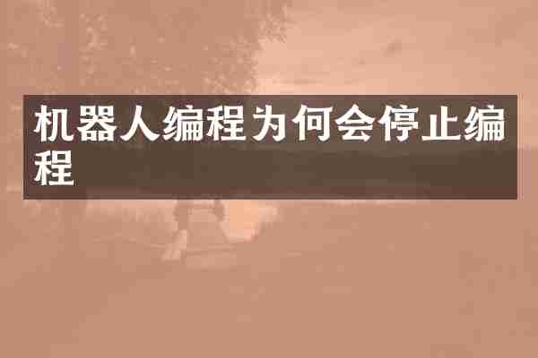机器人编程为何会停止编程