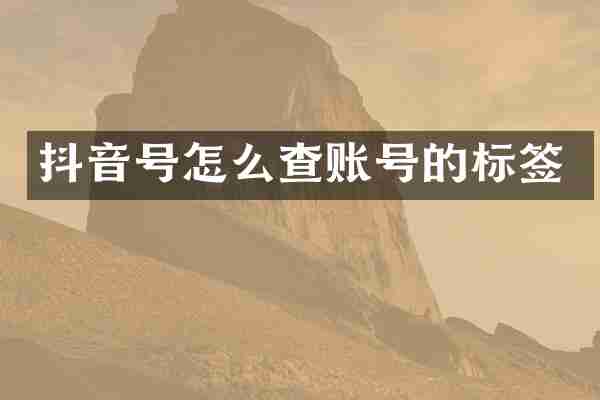 抖音号怎么查账号的标签