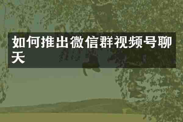 如何推出微信群视频号聊天
