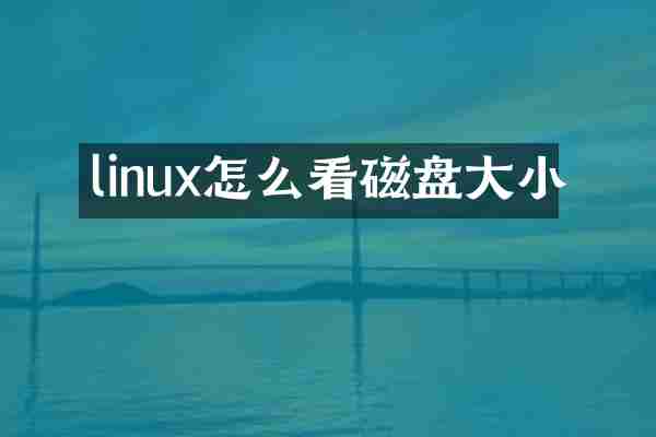 linux怎么看磁盘大小