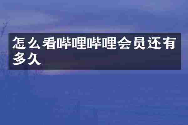 怎么看哔哩哔哩会员还有多久