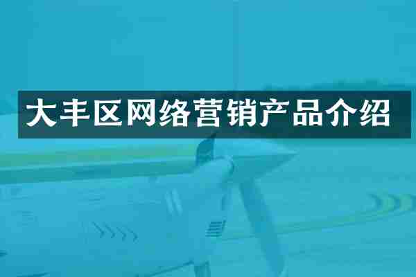 大丰区网络营销产品介绍