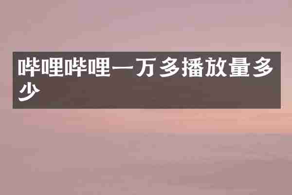 哔哩哔哩一万多播放量多少