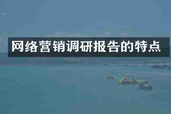 网络营销调研报告的特点